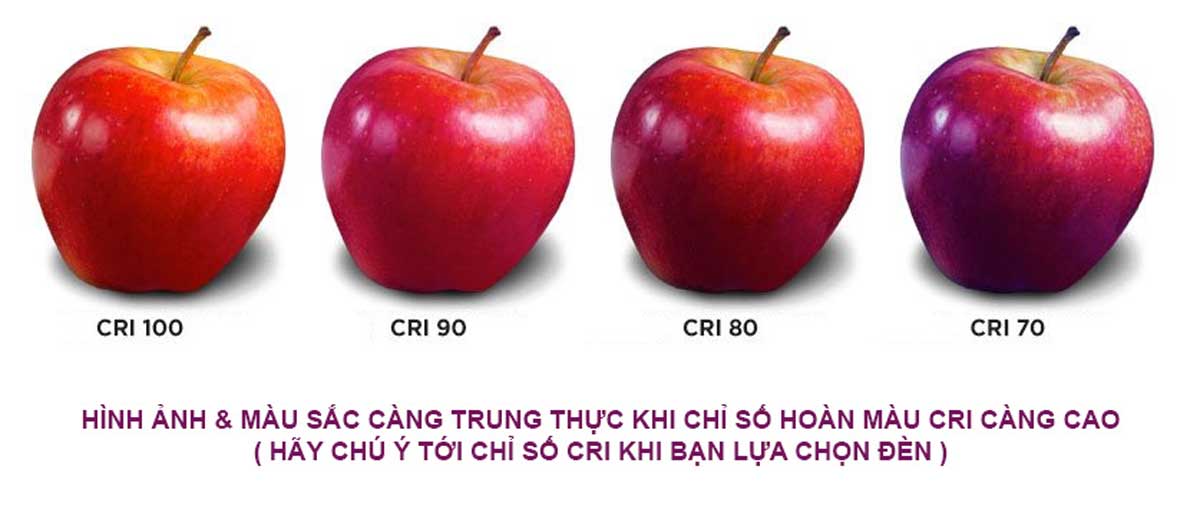 Đèn có chỉ số CRI cao