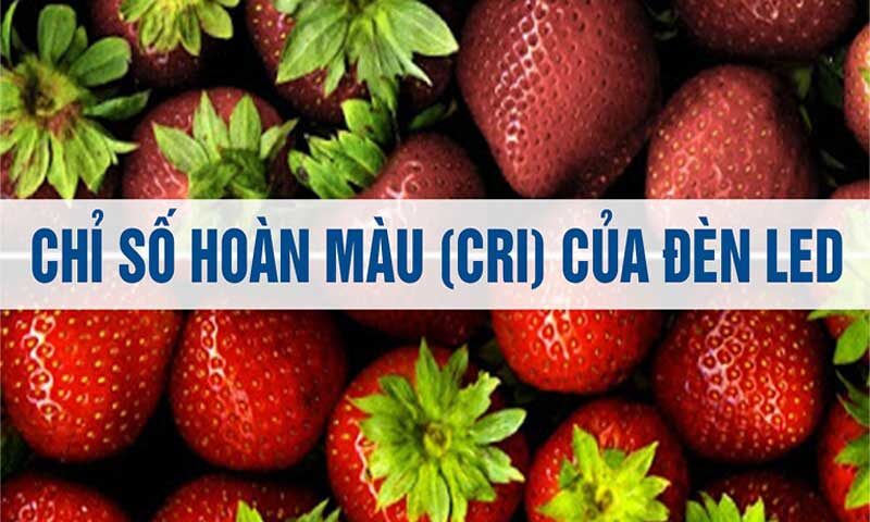 chỉ số hoàn màu CRI